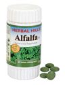 Picture of Alfalfa 