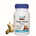 Picture of HealthVit Ginger powder 250 mg 60 Capsules  (Pack Of 2)
