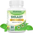 Picture of Morpheme Shilajit Capsules  Fountain Of Youth - 500mg Extract - 60 Veg Capsules-1 Bottle