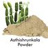 Picture of Asthishrunkala - 100 gms powder