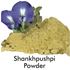 Picture of Shankhpushpi 100 gms powder