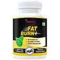 Picture of StBotanica Fat Burn+ Dietary Supplement For Weight Loss (With Garcinia, Raspberry Ketones & Green Tea) - 60 Veg Capsules