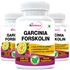 Picture of StBotanica Garcinia Forskolin 500mg Extract - 90 Veg Capsules - 3 Bottles