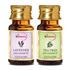 Picture of StBotanica Lavender + Tea Tree Pure Essential Oil (10ml Each)