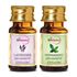 Picture of StBotanica Lavender + Peppermint Pure Essential Oil (10ml Each)