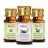 Picture of StBotanica Tea Tree Oil + Rosemary + Peppermint Pure Essential Oil (10ml Each)