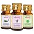 Picture of StBotanica Lavender + Lemongrass + Rosemary Pure Essential Oil (10ml Each)