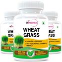 Picture of StBotanica Wheatgrass Supplements 500mg Extract - 90 Veg Capsules - 3 Bottles