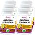Picture of StBotanica Garcinia Forskolin 500mg Extract - 90 Veg Capsules - 6 Bottles