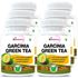 Picture of StBotanica Garcinia Green Tea 500mg Extract - 90 Veg Capsules - 6 Bottles
