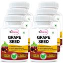 Picture of StBotanica Grape Seed 500mg Extract - 90 Veg Capsules - 6 Bottles
