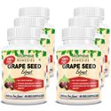 Picture of Morpheme Grape Seed Extract 500mg Extract 60 Veg Capsules - Buy 3 Get 3 Free