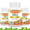 Picture of Morpheme Amla Caps Vitamin C & AntiOxidant 500mg Extract 60 Veg Caps - 3 Bottles