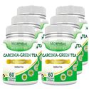 Picture of Morpheme Garcinia Cambogia Green Tea - 500mg Extract 60 Veg Caps - 6 Bottles